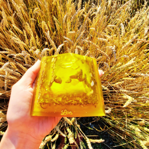 design_ohne_titel_-_2025-10-17t101219_843